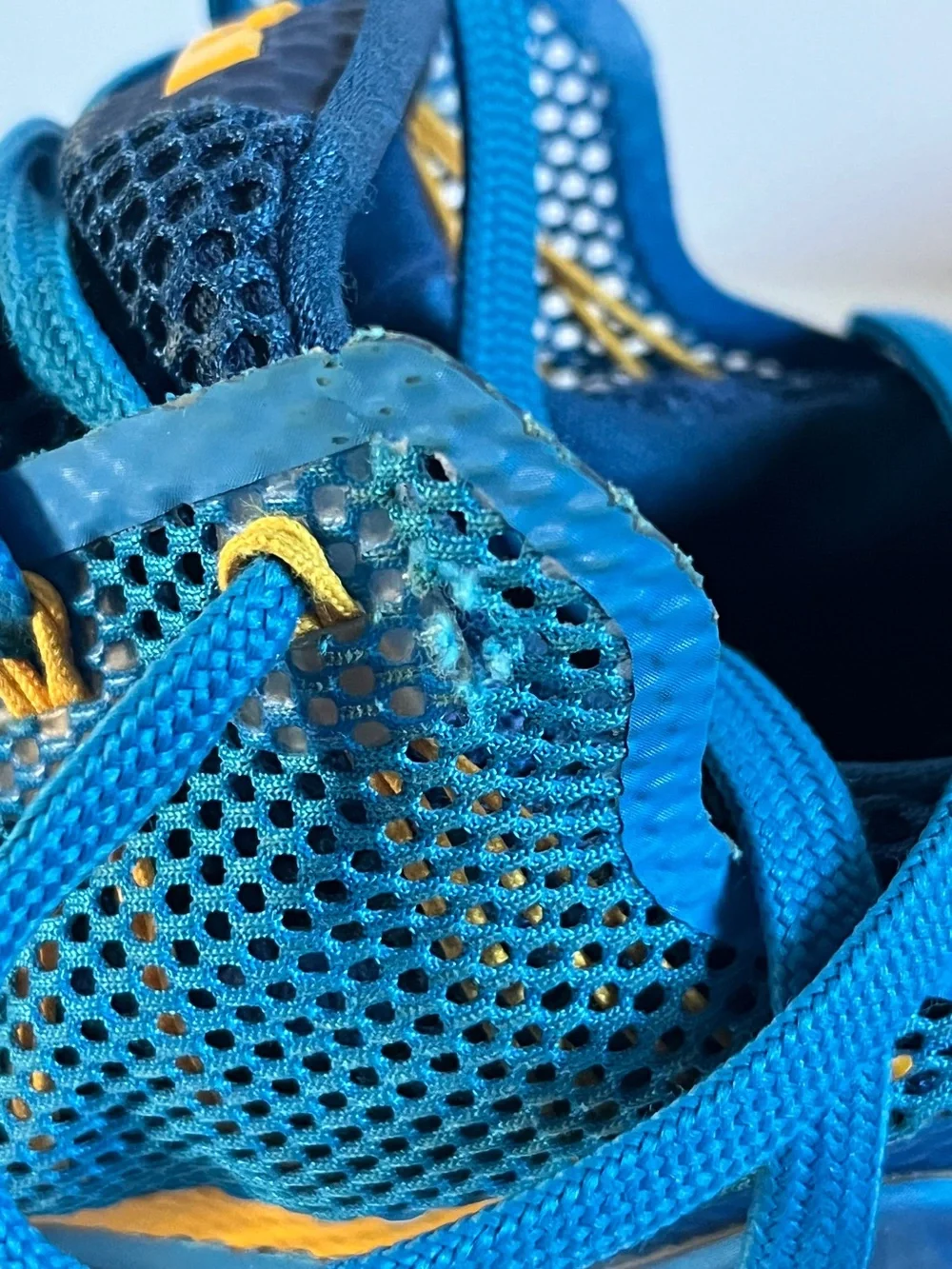 Nike LeBron 12 Low in the 